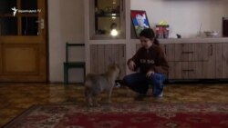 «Որտեղ դիմել ենք, պատասխանել են՝ պետք է ՀՀ քաղաքացի լինեք». արցախցի ընտանիքի անդամները չեն կարողանում աշխատանք գտել