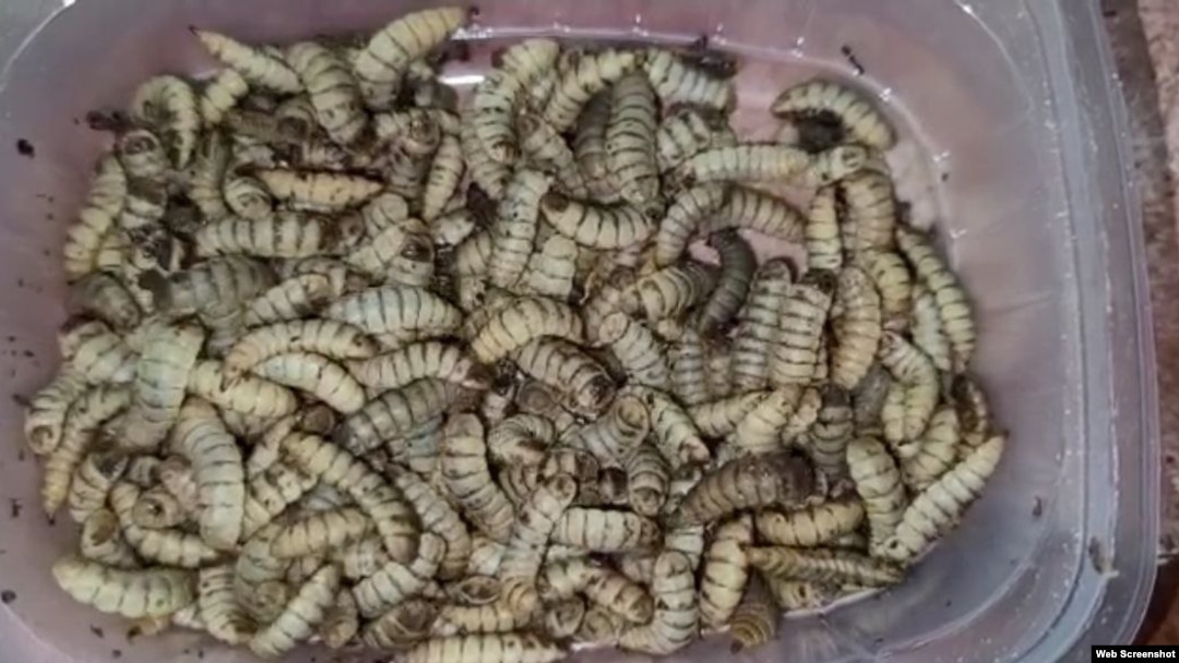 Секс туралы фильм 2006 онлайн