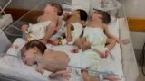 Gaza's premature babies stabilising at Rafah hospital after Al Shifa evacuation