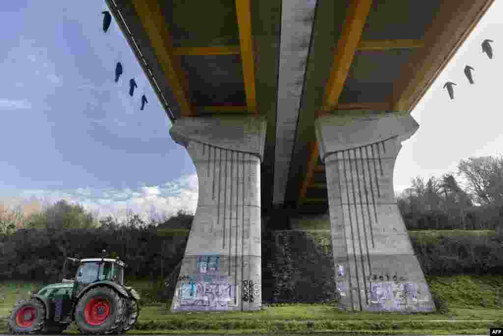 Lutke koje predstavljaju farmere vise s mosta na protestu poljoprivrednika zbog oporezivanja i pada prihoda u Carhaixu, Francuska, 26. januara.