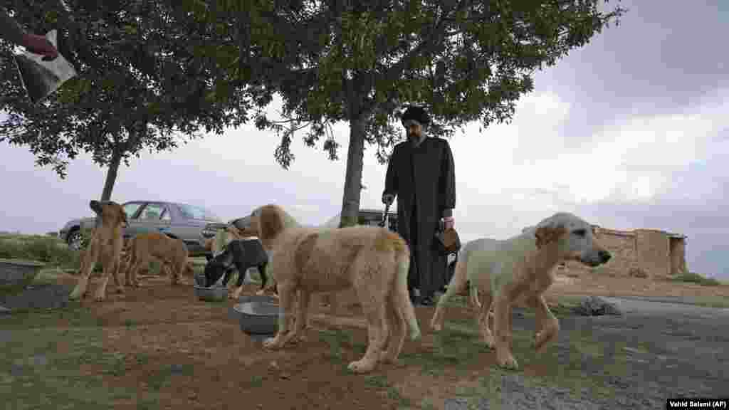 Tabatabaei, dressed in a Shi&#39;ite black turban signifying he is a descendant of Islam&#39;s Prophet Muhammad, seeks to bridge the divide. &quot;It&rsquo;s pretty interesting and kind of weird for them to witness a religious figure doing this stuff,&quot; he said. &quot;My videos seem to leave a good impression on people, too. They say they feel a wave of kindness, peace, and friendship coming through those videos.&quot;&nbsp;