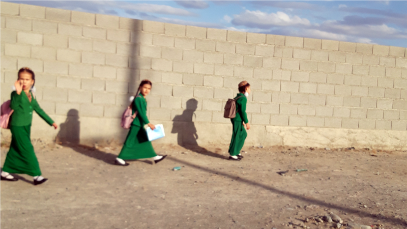 Diňle: Ýöriteleşdirilen mekdepleriň parasy "50 müň manada ýetdi"