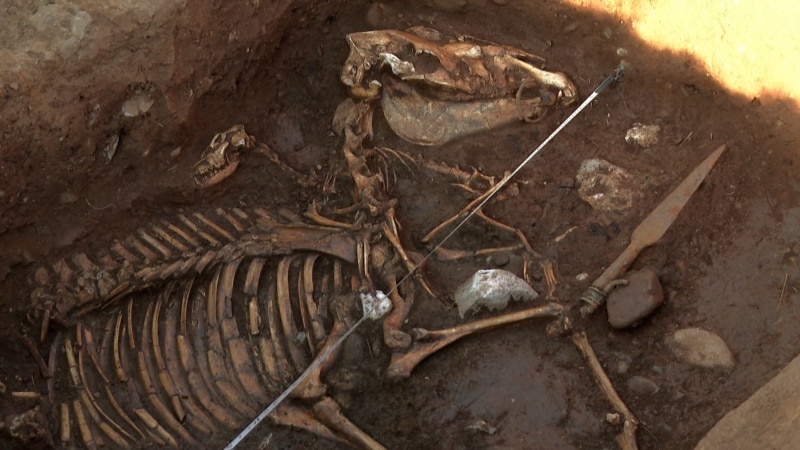 Varri i kafshëve në vendbanimin e lashtë ilir çudit arkeologët