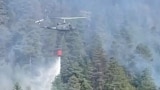 Bosnia FiresGRAB