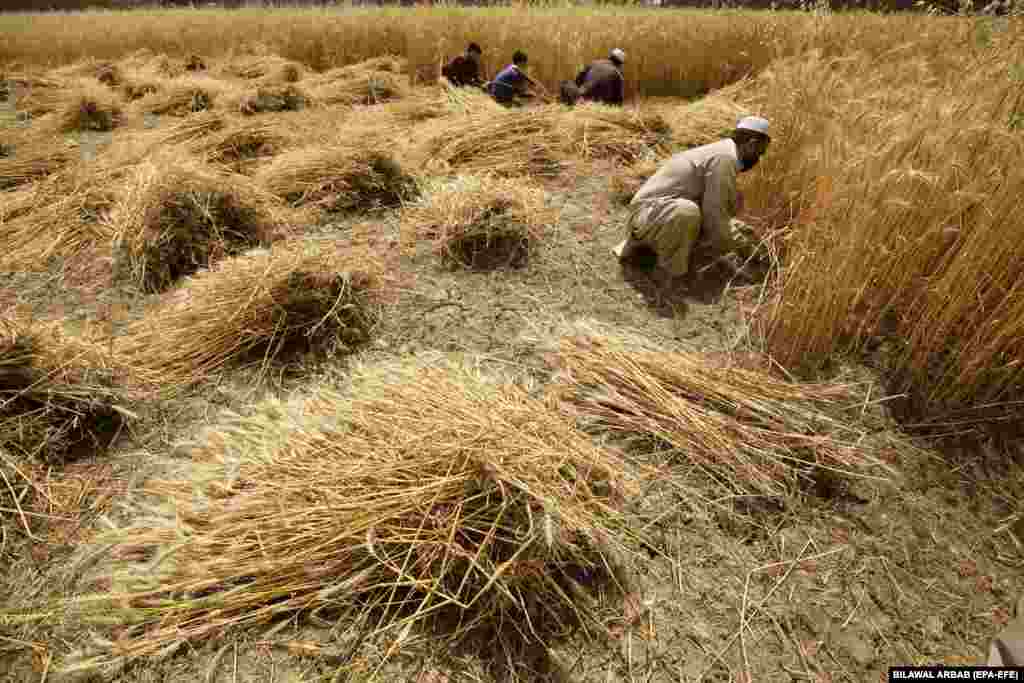 On global markets, the prices of grains, vegetable oil, dairy, and other agricultural commodities have fallen steadily from record highs. But often the relief hasn&rsquo;t trickled down to the real world of shopkeepers, street vendors, and families trying to make ends meet.