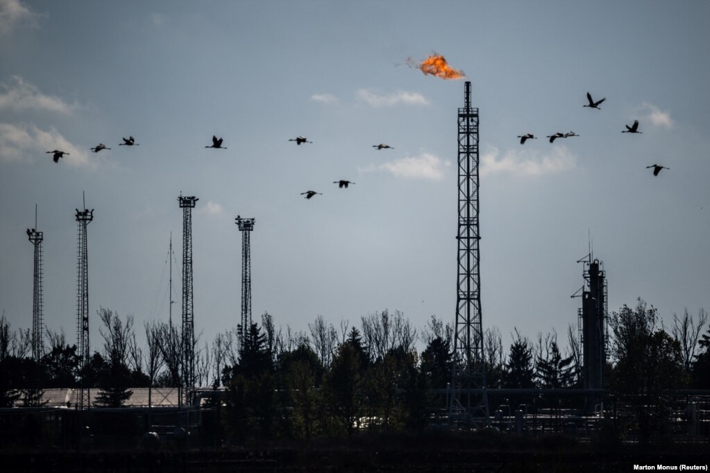 Lejlekët duke fluturuar lart mbi një fabrikë gazi në parkun e madh kombëtar Hortobagy të Hungarisë.
