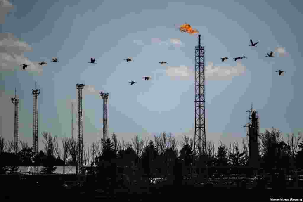 Cranes fly over a gas plant at Hungary&#39;s vast Hortobagy National Park.&nbsp;
