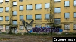 Иллюстратив фото