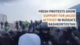 New Protests, And Arrests, Over Jail Term For Activist in Bashkortostan