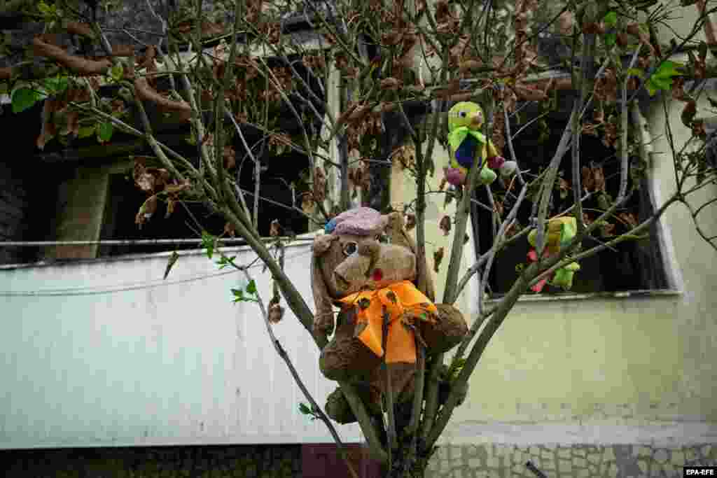 Toys hang on a tree in front of a damaged residential building in Shebekino, Belgorod region, Russia.