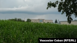 Pe teritoriul Institutului de Genetică a fost construită prima centrală care folosește Miscanthus pentru producerea energiei termice.