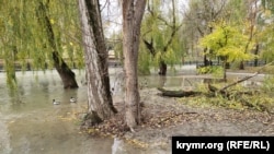 Река Салгир разлилась в Симферополе, 26 ноября 2023 года