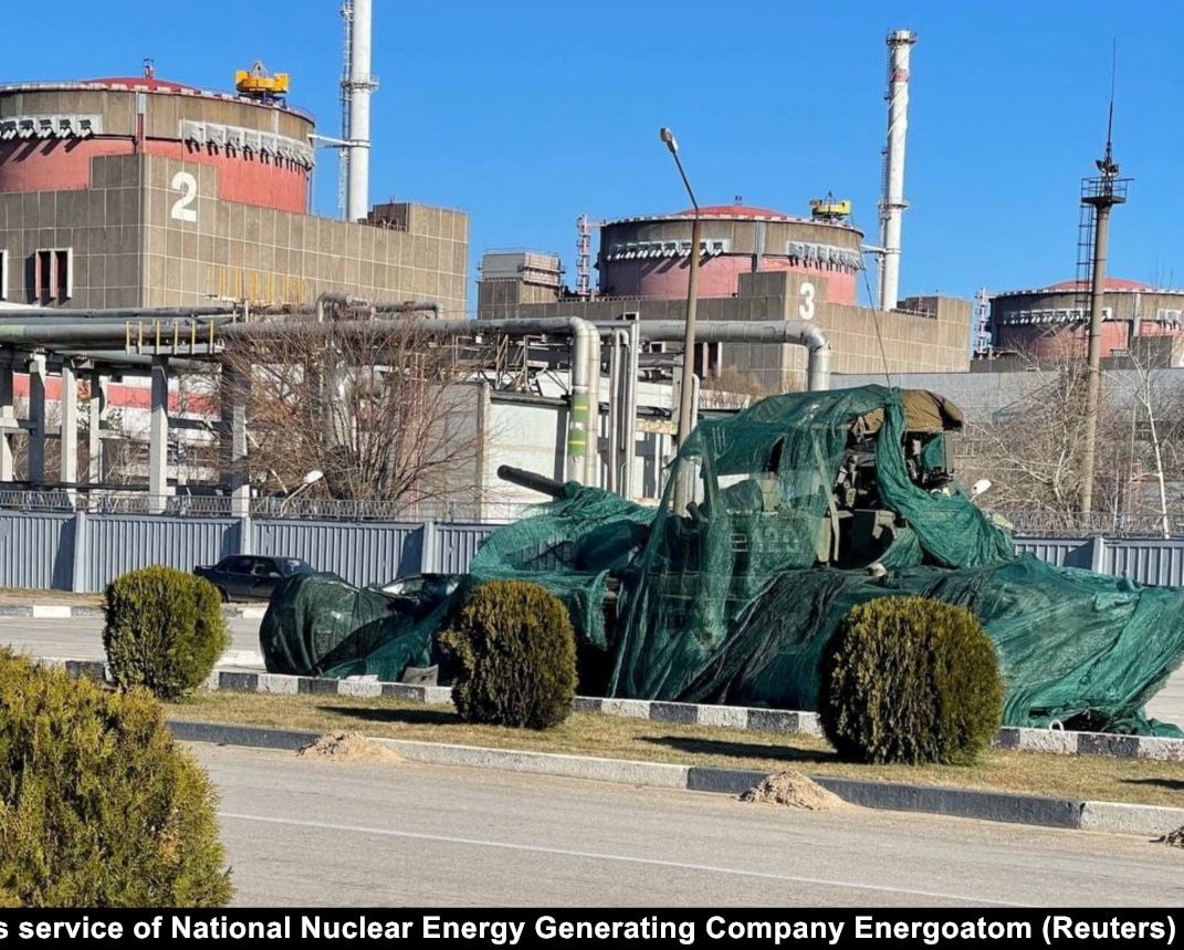 eagles plant Eagleston Holly - Fort Worth, Texas