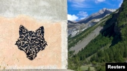 Crtež glave vuka u dolini Haute-Ubaye, Francuski Alpi