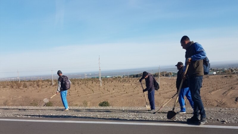 Aşgabatda içerki migrantlar resmi hasaba durmakda kynçylyk çekýär, para bilen 'çözmeli' bolýar