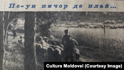 Pe-un picior de plai… „Cultura Moldovei”, 7 Iunie 1964. 