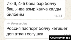 Переписка в одной из групп в "Вотсапе". (на кыргызском языке).