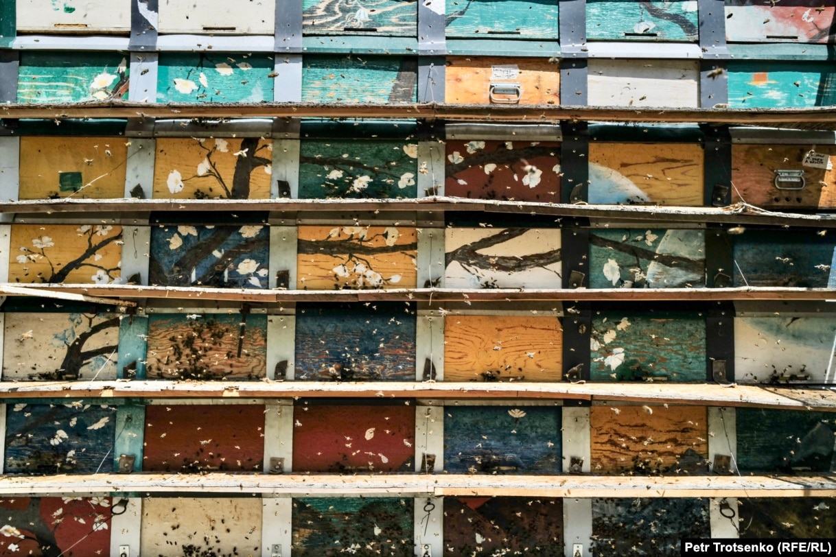 Beehives in the mobile apiary