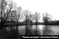 Расчистку пожарного водоёма в Шалаве пришлось отложить на следующий год из-за нехватки бюджетных денег. Жители боятся, что в случае пожара им невозможно будет воспользоваться. Фото: Артём Пучков для НВ