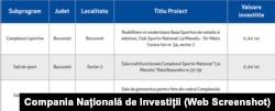 Compania Națională de Investiții nu are bani pentru renovarea bazinelor de la Lia Manoliu.