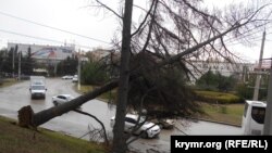 Последствия шторма в Севастополе, 27 ноября 2023 года