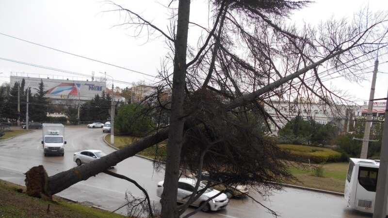 В Севастополе на 21 апреля объявлено штормовое предупреждение из-за усиления ветра – МЧС РФ 