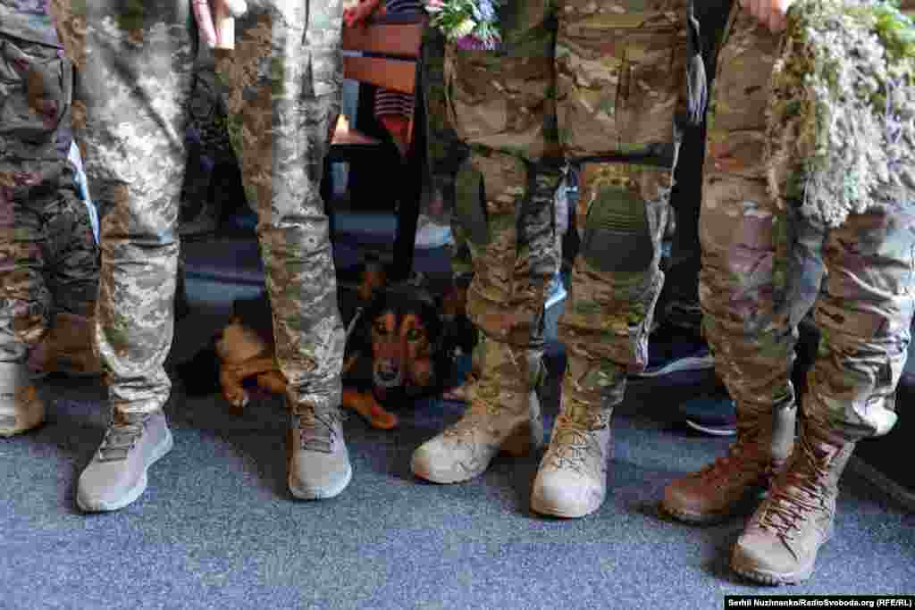 A service dog sits behind soldiers who attended the funeral.