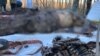 Останки загиблих військовослужбовців армії Росії обміняють на тіла бійців ЗСУ