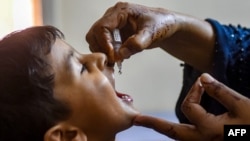 ارشیف: په پاکستان کې یوه واکسیناتوره یوه ماشوم ته د پولیو ضد واکسین د تطبیق پر مهال