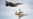 «Это серьезная победа Украины». Что говорят об эффективности F-16