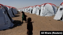 خیمه های موقت که برای زلزله زده ها در هرات بر پا شده است 