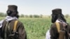 نشریهٔ ترانسفورم: تاثير عملکرد طالبان در برابر کشت کوکنار و تولید مواد مخدر چی خواهد بود؟