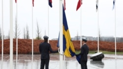 Швеція увійшла в НАТО. Україна наступна? (відео)