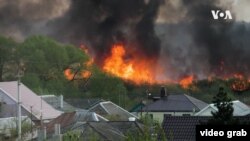 илустрација