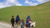 Burqa-clad Afghan women ride donkeys alongside children on a road near the village of Shah Mari in the Argo district of the remote Badakhshan Province.
