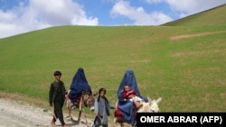 یک نهاد سازمان ملل متحد دو روز پیش گفت که افغانستان تحت مدیریت طالبان برای زنان ظالمانه است