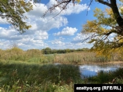 Речка, из которой сельчане набирают питьевую воду. Село Енбек, Павлодарская область, 22 сентября 2023 года