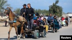 شماری از فلسطینی های که از نوار غزه بخاطر حملات اسرائیل به شهر رفح بیجا شده اند. 