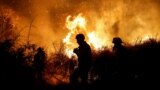 Израильские пожарные и спасатели ликвидируют последствия нападения боевиков ХАМАС на больницу в городе Ашкелон на юге Израиля. 7 октября 2023 года