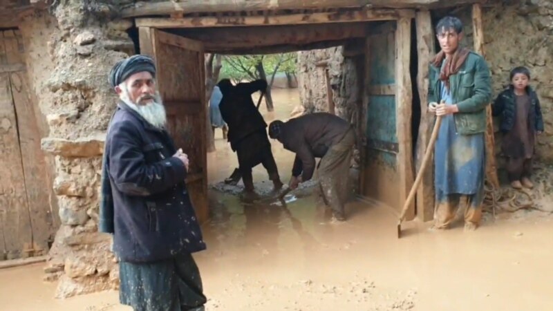 در هرات کمپاین کمک به سیلاب‌ زده‌گان راه اندازی شده است 