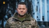 За словами адвокатки, Залужний є одним з головних свідків у справі Червінського