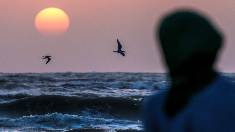 "ეკოლოგიური კატასტროფა გარდაუვალია". შეიძლება თუ არა კასპიის ზღვის გამეჩეჩების შეჩერება