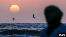 Иллюстрация үчүн колдонулган сүрөт