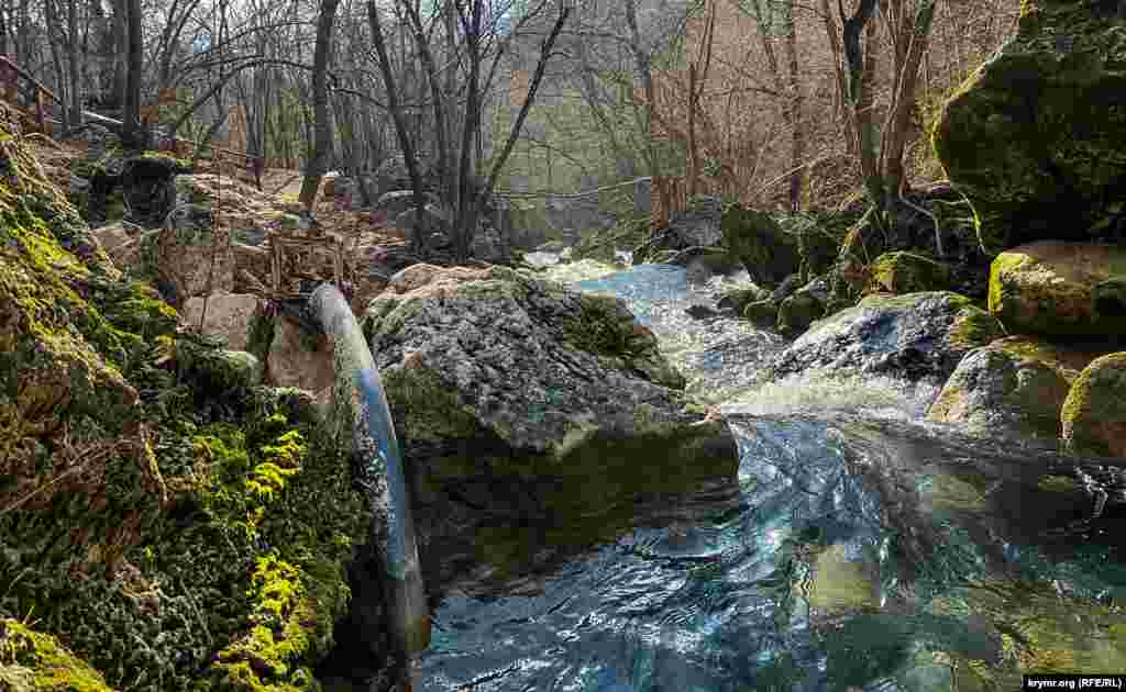 Parknıñ hocalıq ihtiyacları içün özenden suv bergen plastik hortum bu tabiat manzarasına kelişmey