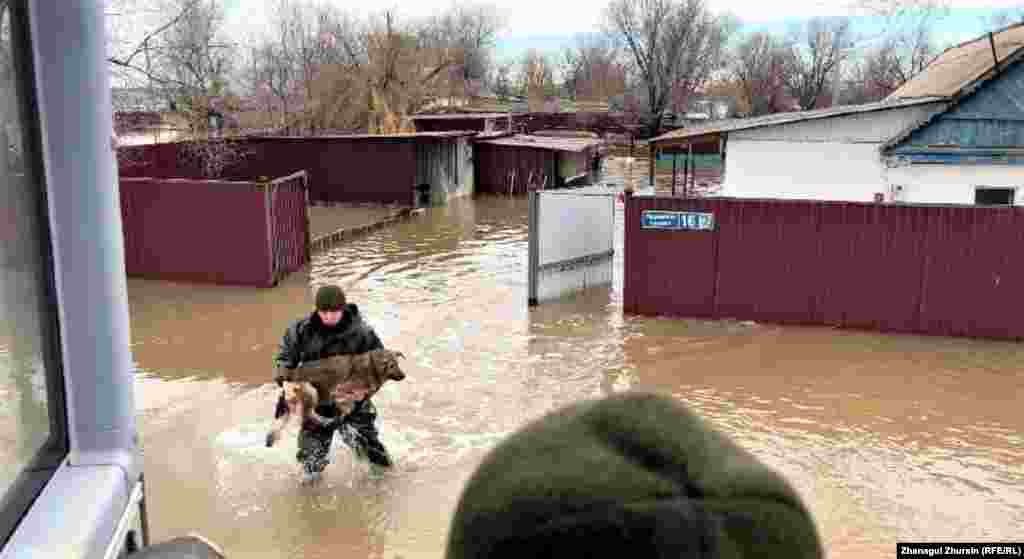 Спасатели выносят собаку из затопленного двора в Кобдинском районе Актюбинской области&nbsp;