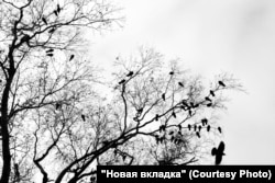 Фото: Артём Пучков для НВ