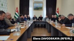 Членов Общественной палаты интересовал широкий круг вопросов, связанных с выращиванием цитрусовых плодов в Абхазии
