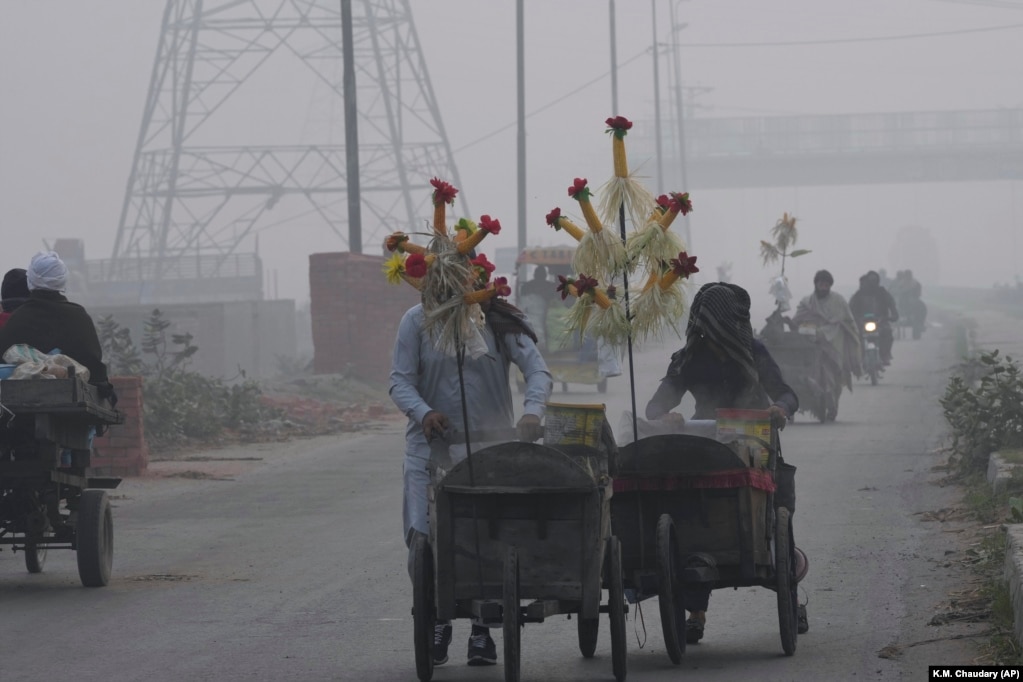 Shitësit e misrit shtyjnë karrocat e tyre të dorës ndërsa mjegulla ka mbështjellë Lahoren, Pakistan.
