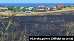 Пожар на лавандовом поле, Севастополь