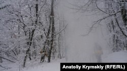 За повідомленням, у гірських районах Закарпатської області існує загроза зсувів снігу на дороги